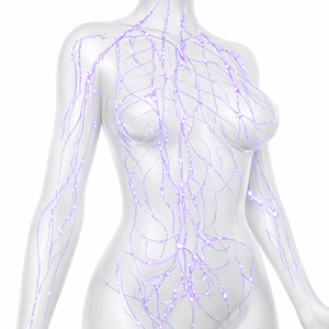 The Lymphatic Link Between Your Ankles and Your Collarbone